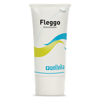 Fleggo - Slut med skæl